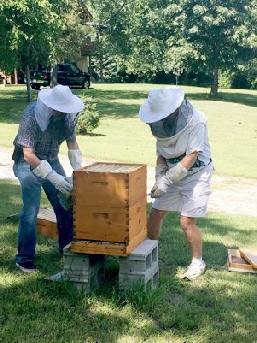 The Zachary brothers working a beehive.