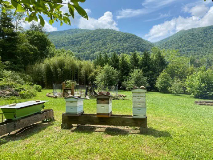 Bee Apiary in Maggie Valley, NC.