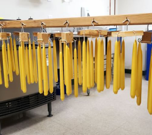 Beeswax candles drying on a line.