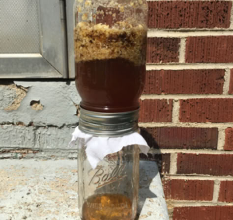 1st jar of raw honey processed from the colony, 2017.