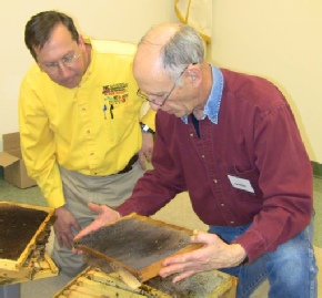 Bill and Tom checking out a bee frame.